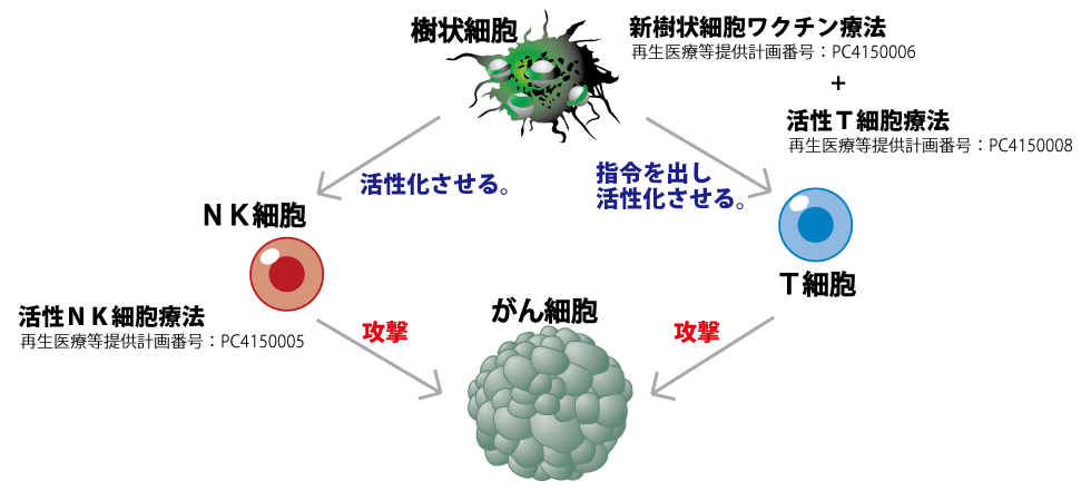 名古屋メディカルクリニックの免疫細胞治療